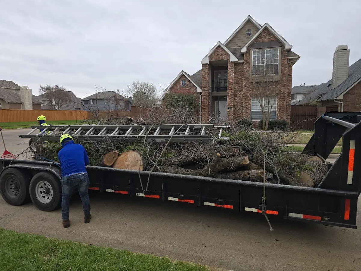 Expert Tree Removal with proper safety equipment in Saranac Lake